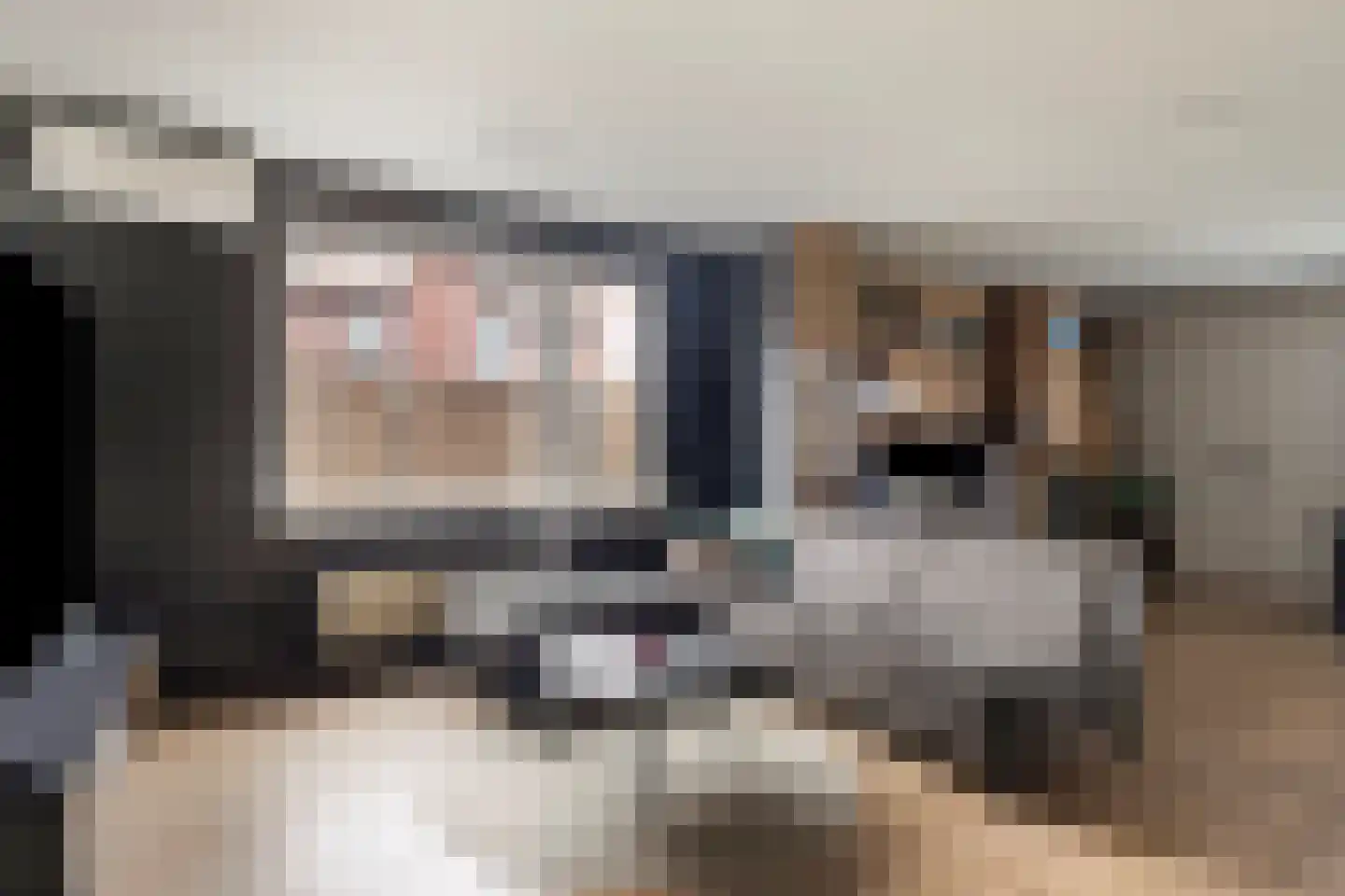 Sloelaan 1 Terneuzen thumbnail 7