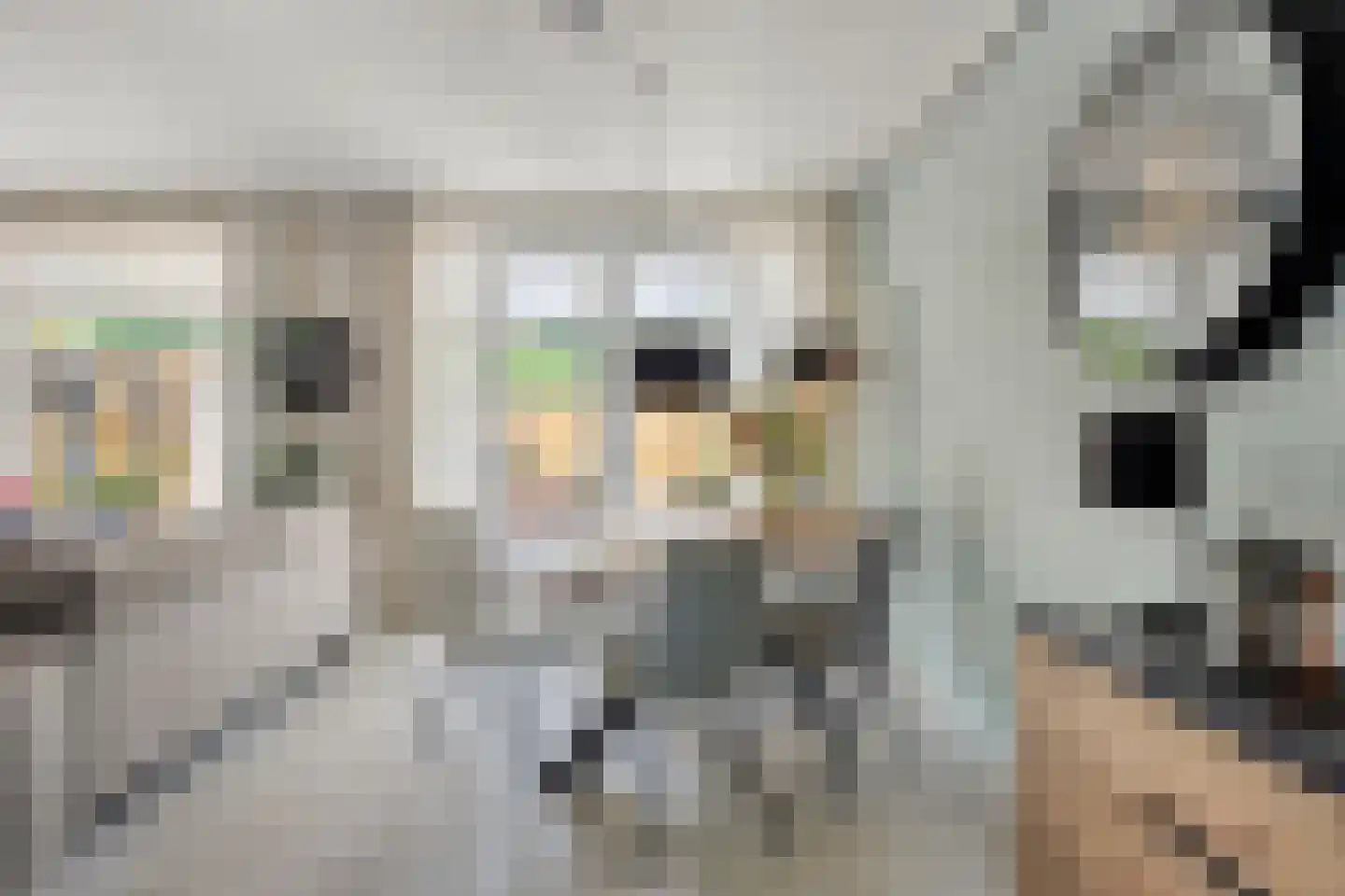 Sloelaan 27 Terneuzen thumbnail 17