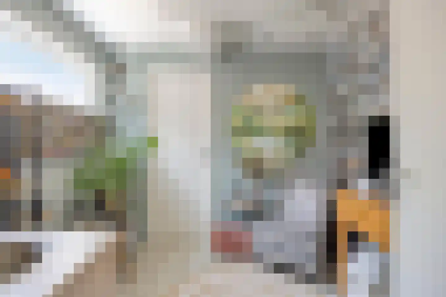 Sloelaan 27 Terneuzen thumbnail 25