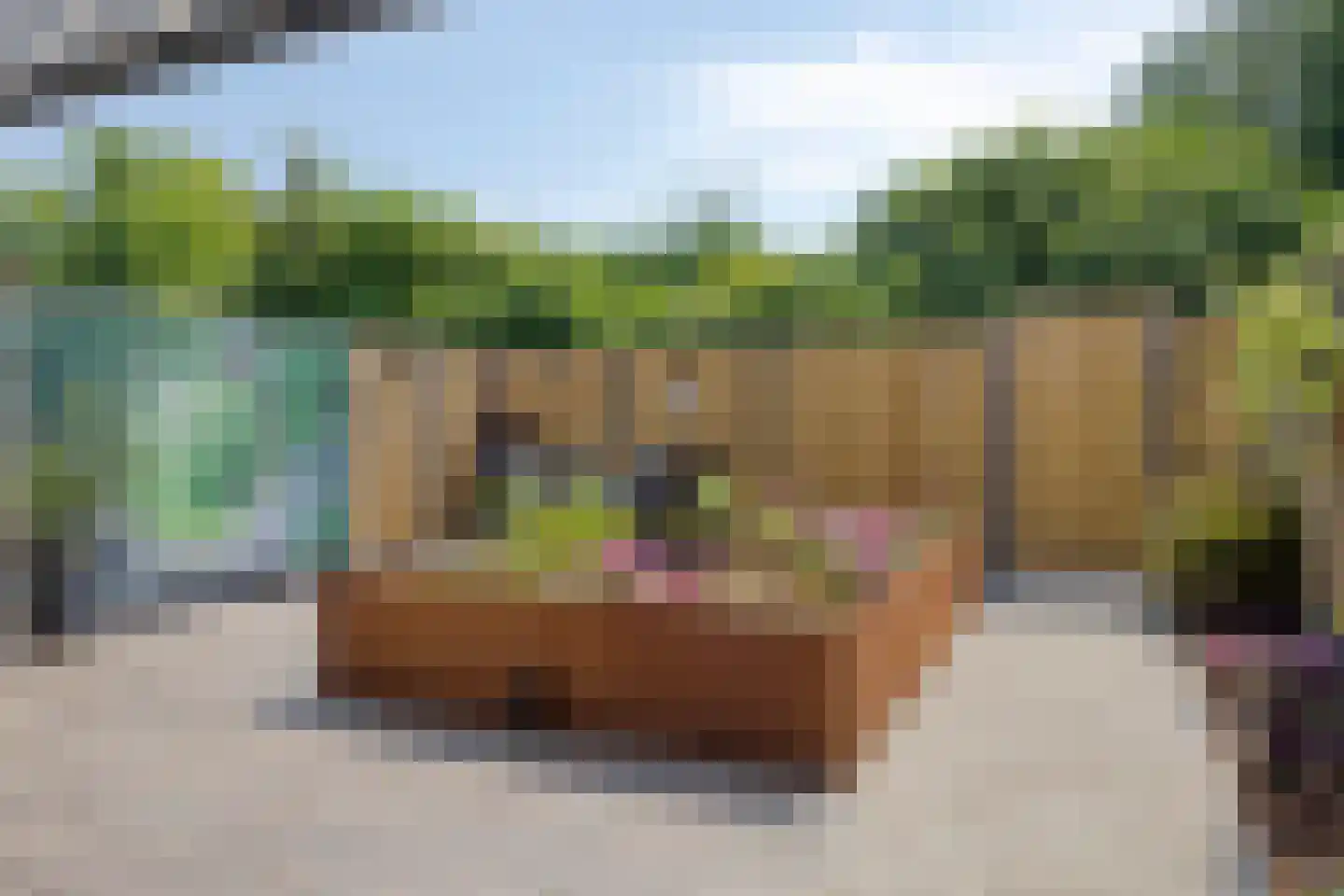 Sloelaan 27 Terneuzen thumbnail 32