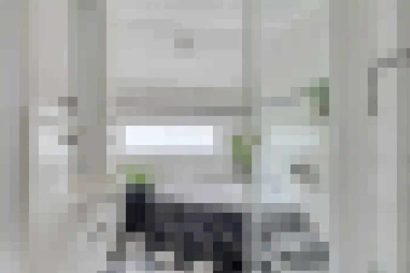 Sloelaan 30 Terneuzen thumbnail 22