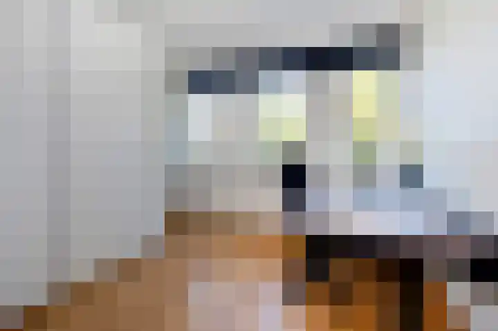 Sloep 133 Groningen thumbnail 20