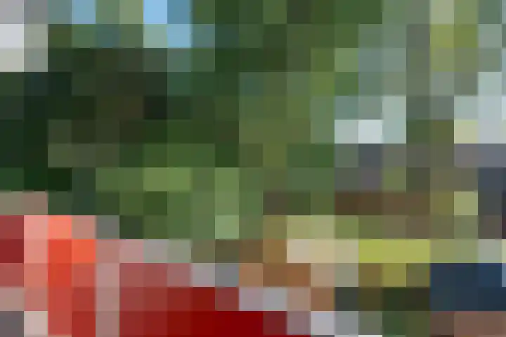 Sloep 133 Groningen thumbnail 27