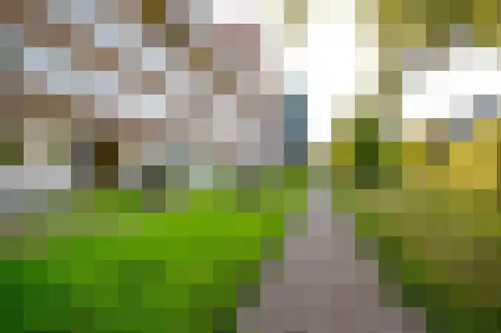 Sloep 133 Groningen thumbnail 36