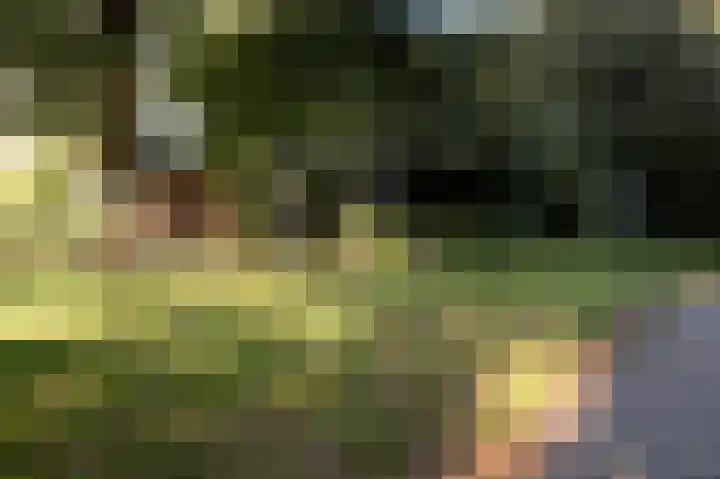 Sloep 133 Groningen thumbnail 46