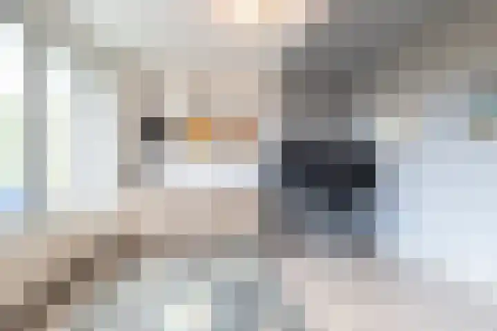 Sloep 155 Groningen thumbnail 5