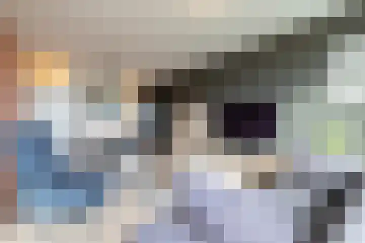 Sloep 155 Groningen thumbnail 9