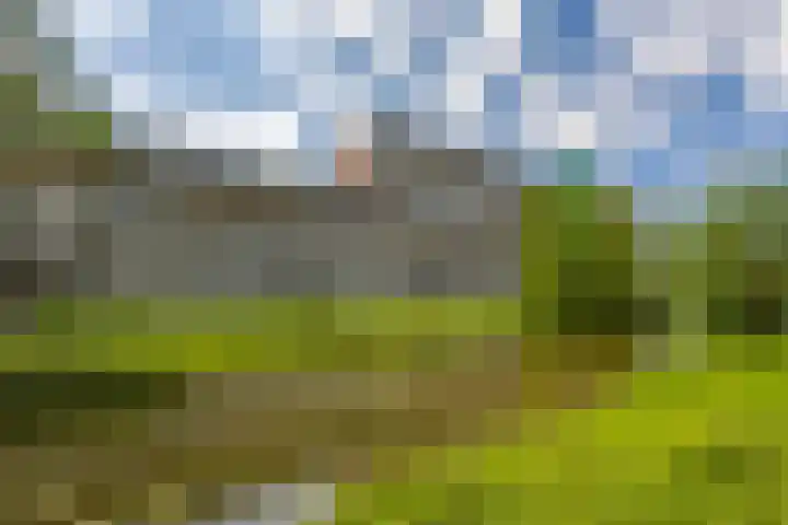 Sloep 167 Groningen thumbnail 33