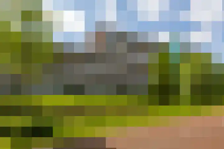 Sloep 167 Groningen thumbnail 37