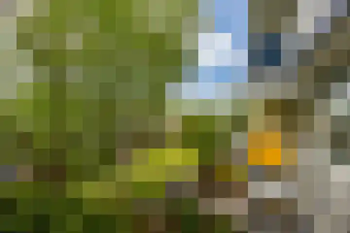 Sloep 167 Groningen thumbnail 38