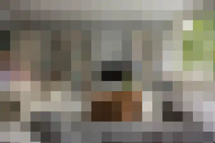 Sloep 167 Groningen thumbnail 8