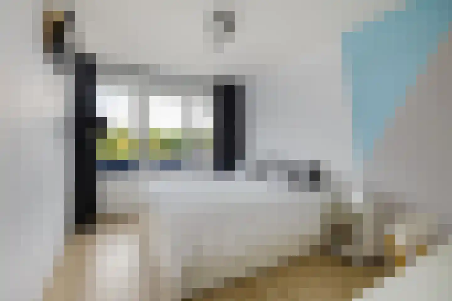 Sloep 173 Groningen thumbnail 24