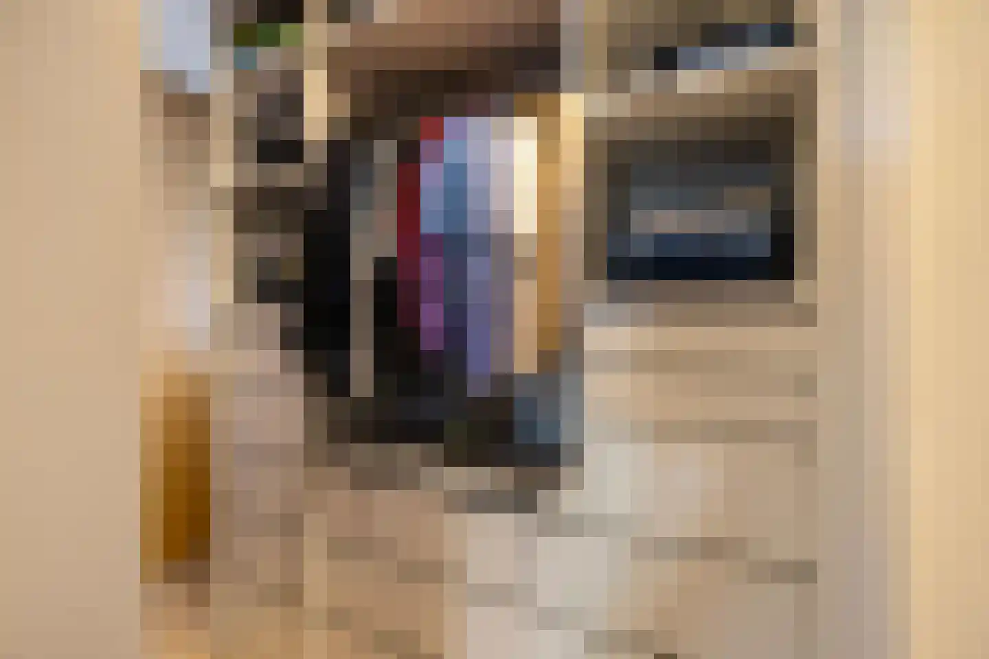 Sloep 173 Groningen thumbnail 30