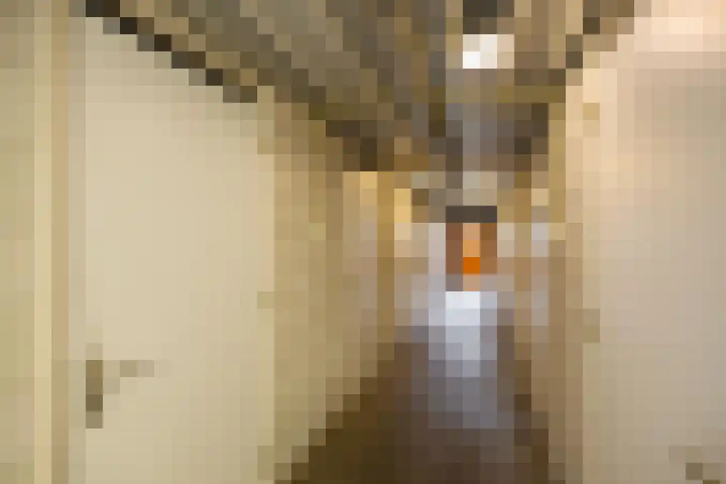 Sloep 173 Groningen thumbnail 36