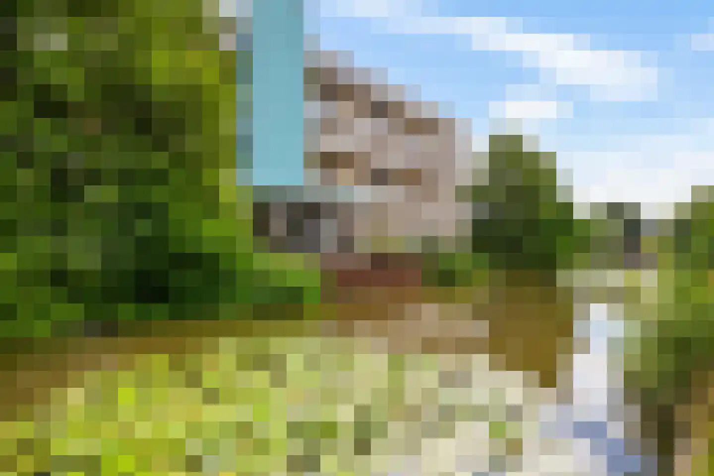 Sloep 173 Groningen thumbnail 6