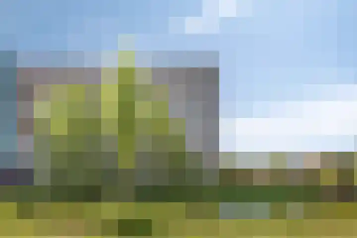 Sloep 178 Groningen thumbnail 43