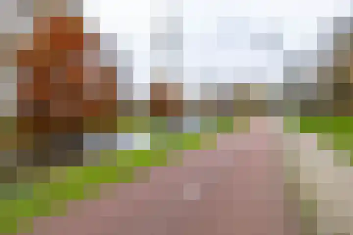 Sloep 194 Groningen thumbnail 17