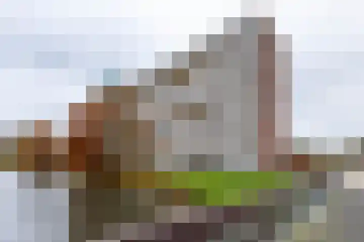 Sloep 194 Groningen thumbnail 20