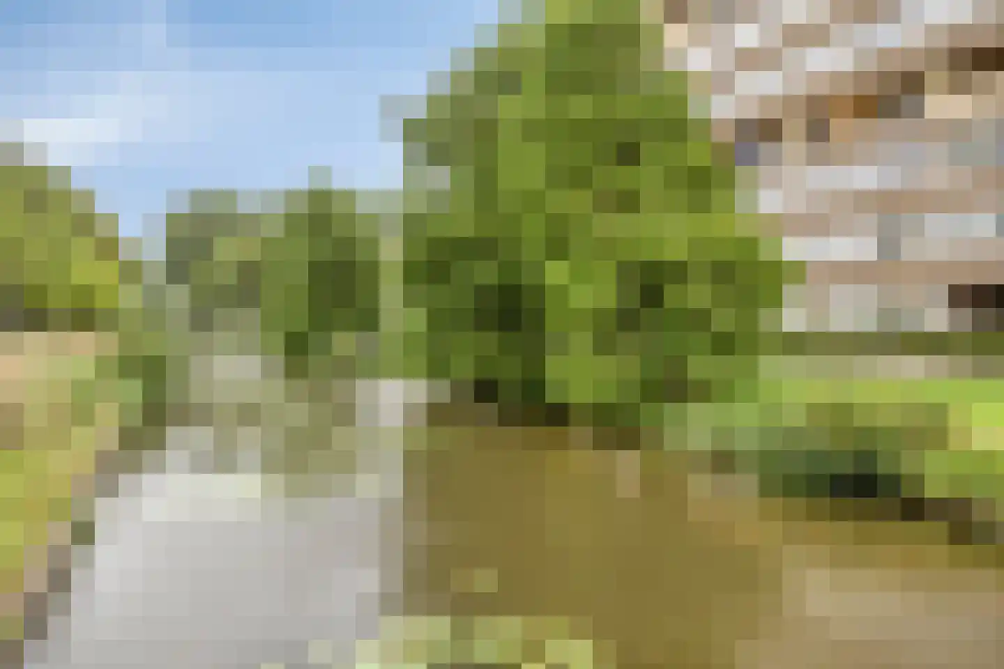 Sloep 202 Groningen thumbnail 32