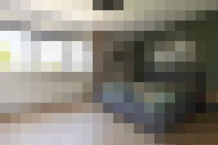 Sloep 21 Nijkerk thumbnail 21