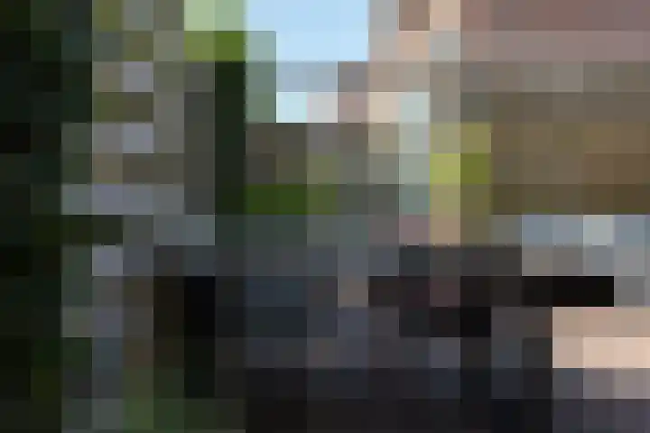 Sloep 21 Nijkerk thumbnail 32