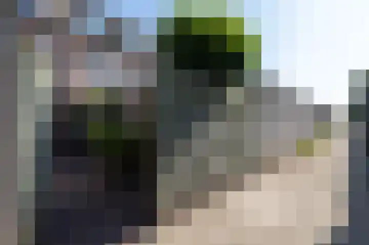 Sloep 21 Nijkerk thumbnail 36