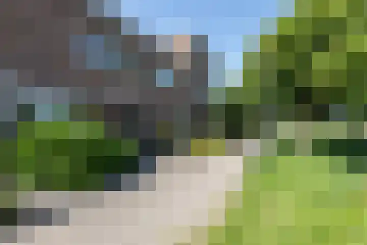 Sloep 21 Nijkerk thumbnail 37