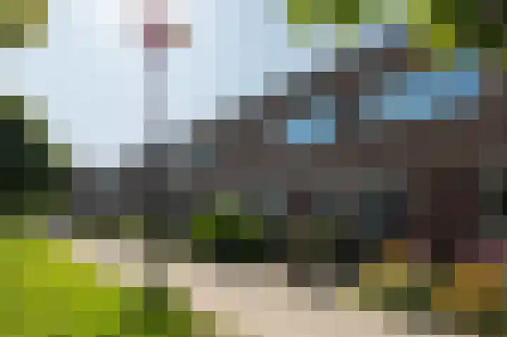 Sloep 21 Nijkerk thumbnail 38