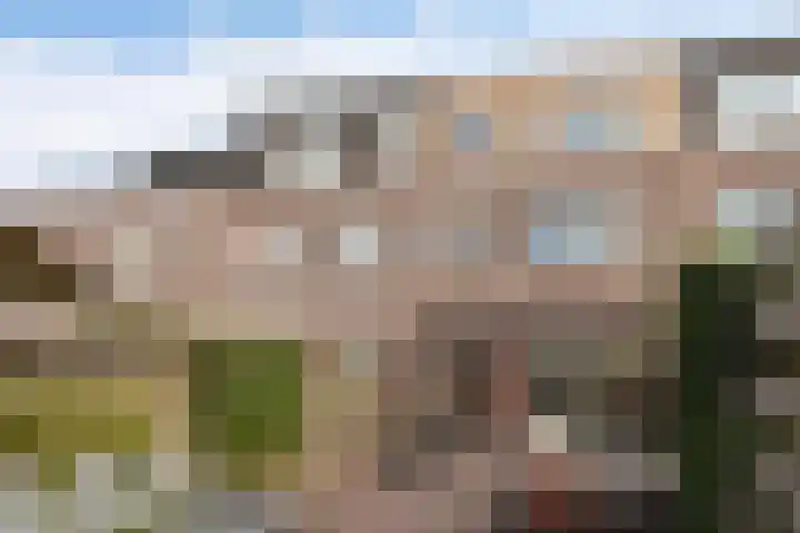 Sloep 21 Nijkerk thumbnail 39