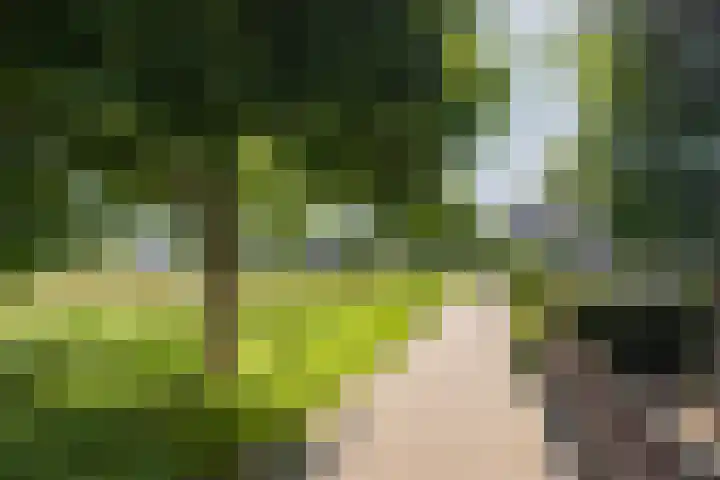 Sloep 21 Nijkerk thumbnail 40