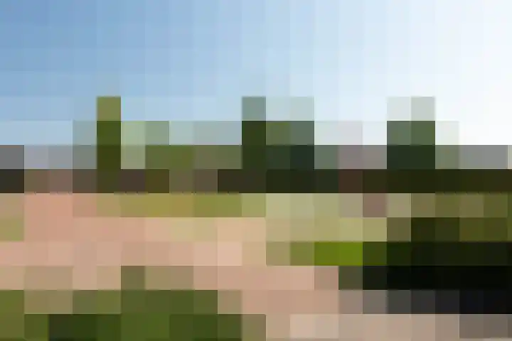Sloep 21 Nijkerk thumbnail 41