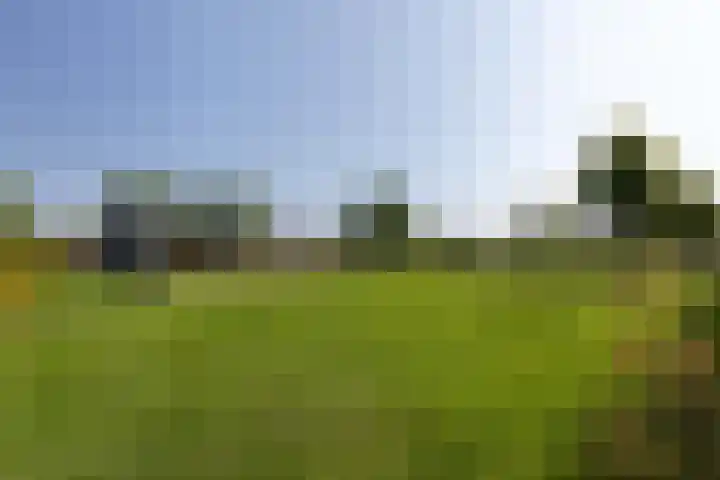Sloep 21 Nijkerk thumbnail 42