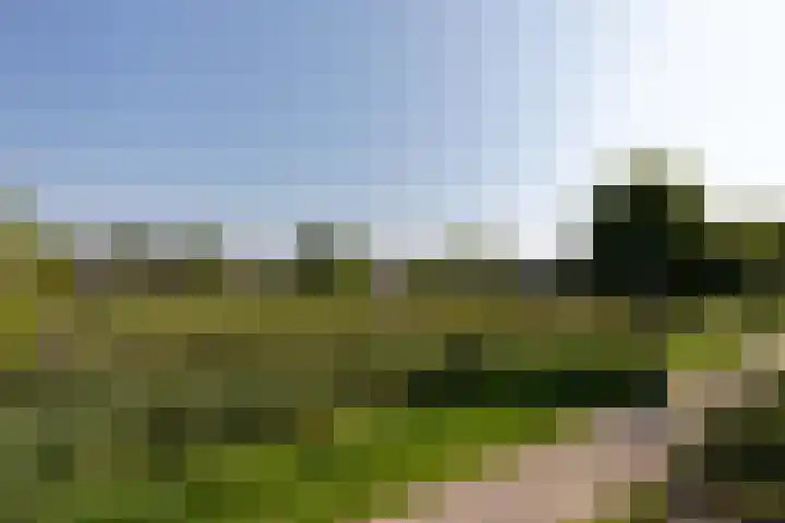 Sloep 21 Nijkerk thumbnail 43