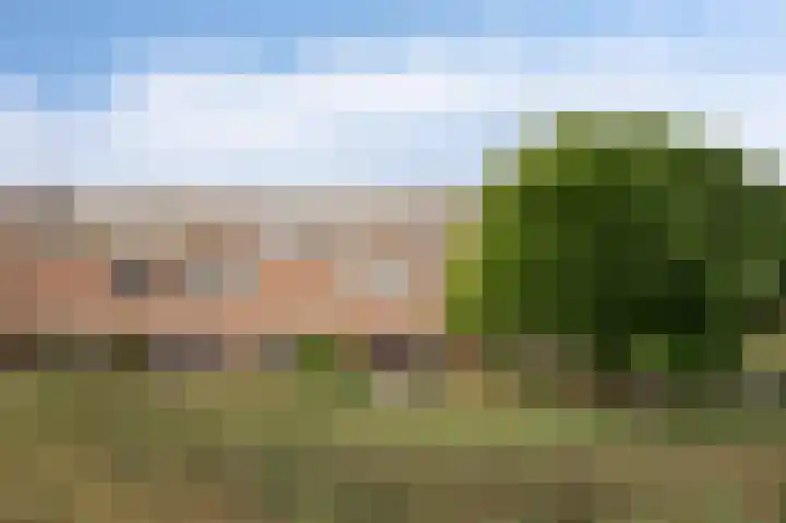 Sloep 21 Nijkerk thumbnail 5