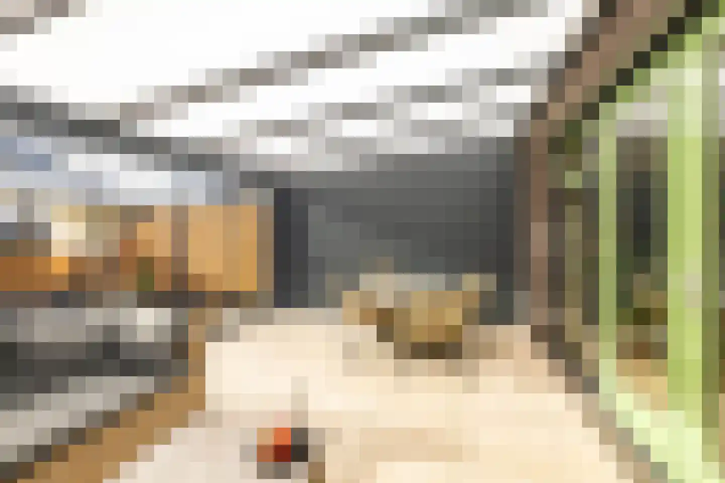 Sloep 214 Groningen thumbnail 17