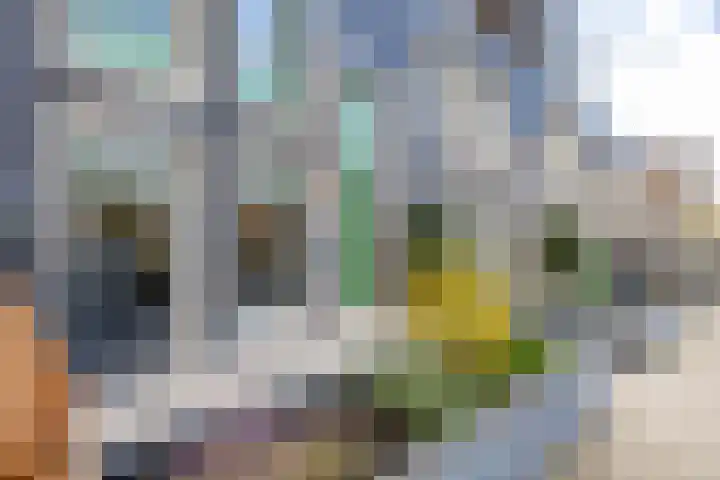 Sloep 214 Groningen thumbnail 5