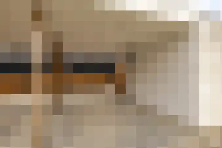 Sloep 214 Groningen thumbnail 50