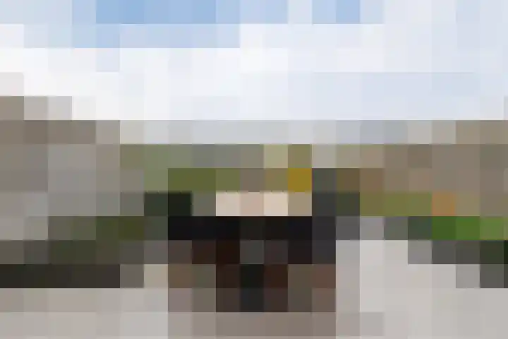 Sloep 227 Groningen thumbnail 23