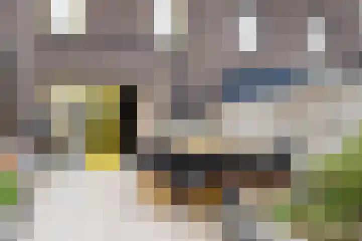 Sloep 227 Groningen thumbnail 32
