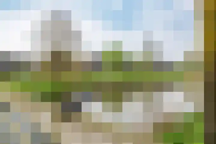 Sloep 227 Groningen thumbnail 64