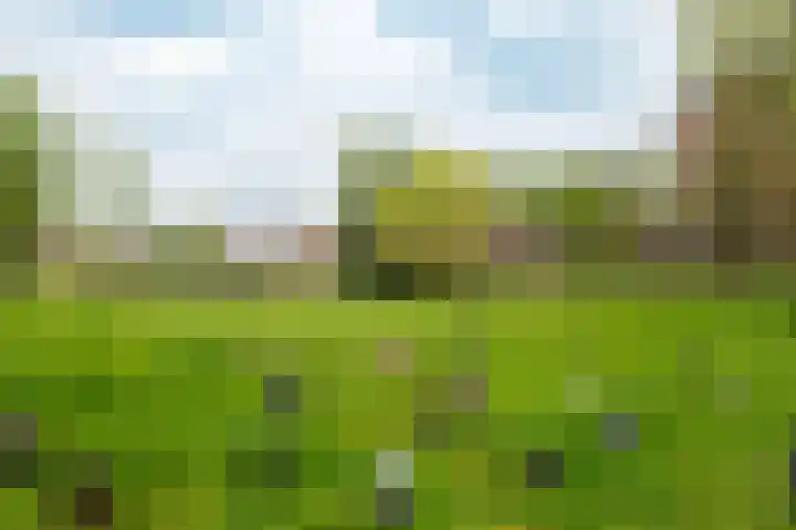 Sloep 227 Groningen thumbnail 65