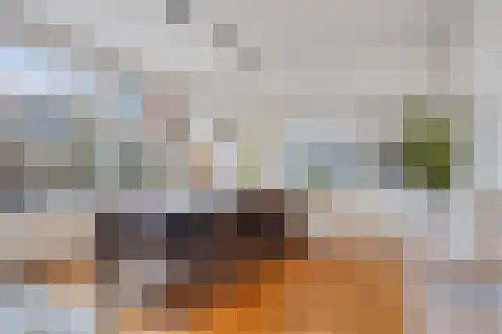 Sloep 37 Groningen thumbnail 10