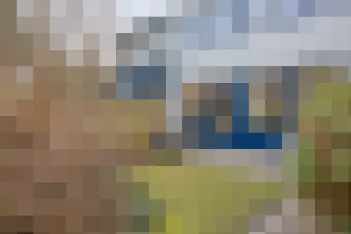 Sloep 37 Groningen thumbnail 30