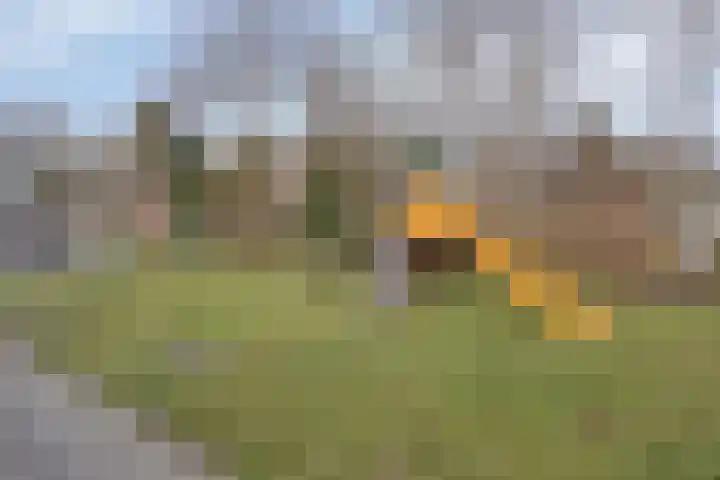 Sloep 37 Groningen thumbnail 35