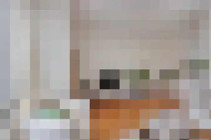 Sloep 37 Groningen thumbnail 6