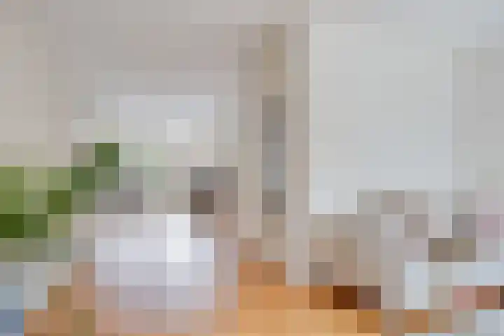 Sloep 37 Groningen thumbnail 7