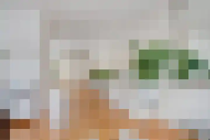 Sloep 37 Groningen thumbnail 8