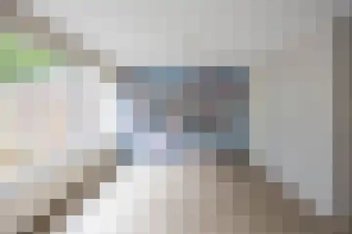 Sloep 45 Groningen thumbnail 11