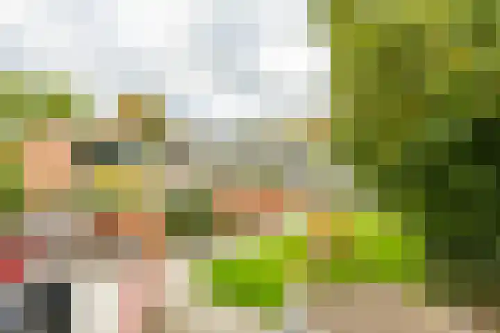 Sloep 45 Groningen thumbnail 31