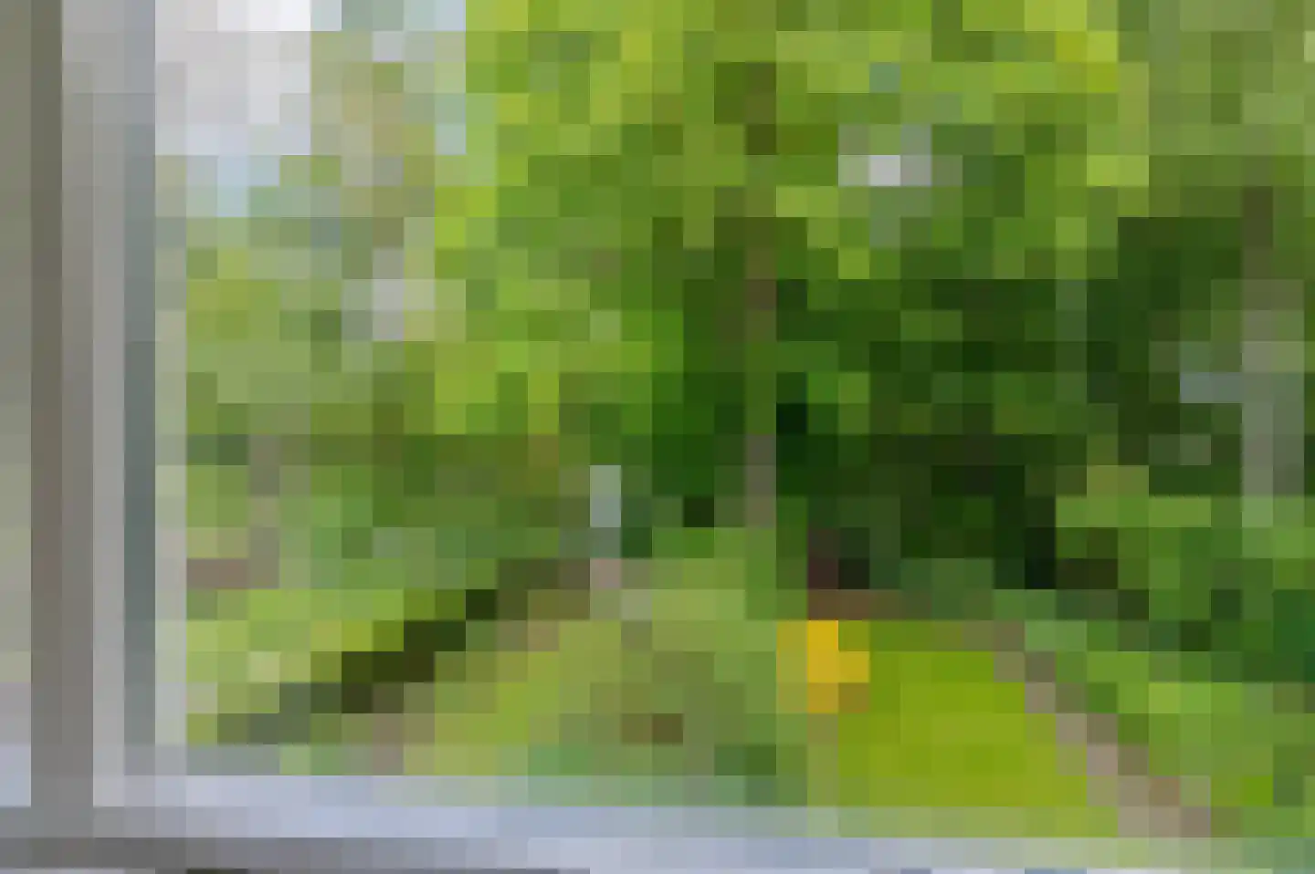 Sloep 53 Groningen thumbnail 28